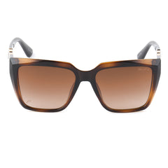 1046 Xite Eyewear's Square Shaped women's Polarised Sunglasses.